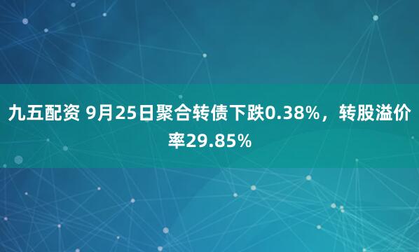 九五配资 9月25日聚合转债下跌0.38%，转股溢价率29.85%