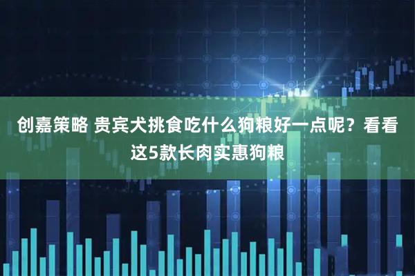 创嘉策略 贵宾犬挑食吃什么狗粮好一点呢？看看这5款长肉实惠狗粮