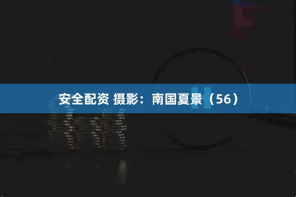安全配资 摄影：南国夏景（56）