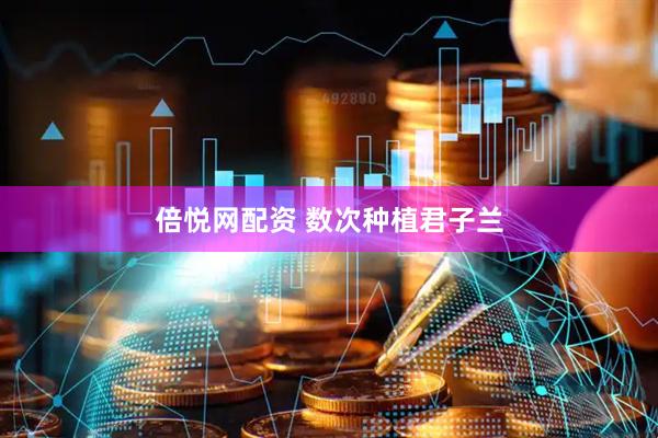 倍悦网配资 数次种植君子兰